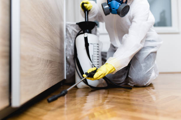 Best Emergency Pest Control  in Martinsville, VA