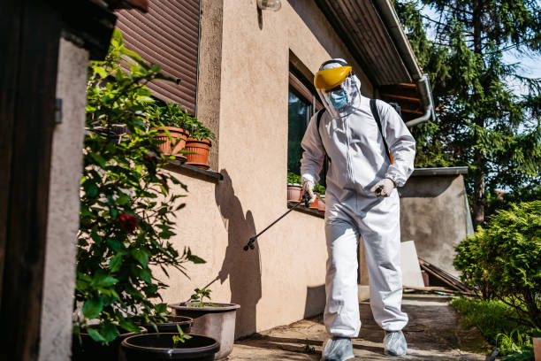 Best Best Pest Control Companies  in Martinsville, VA