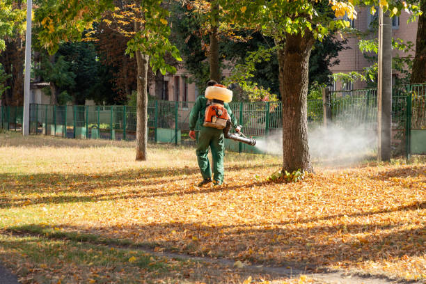 Best Rat Extermination Near Me  in Martinsville, VA