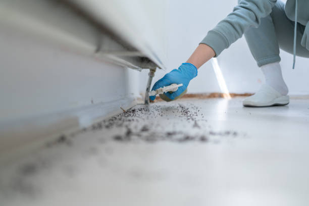 Best Rodent Control Near Me  in Martinsville, VA