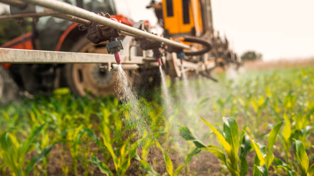 Best Commercial Pest Control Services  in Martinsville, VA